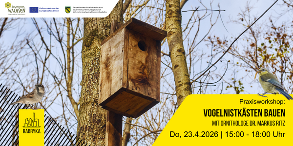 Veranstaltungsbild zu Praxisworkshop Vogelnistkästen bauen